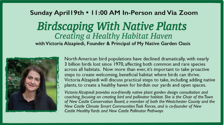 BIRDSCAPING WITH NATIE PLANTS: Creating a Healthy Habitat Haven with Victoria Alzapiedi